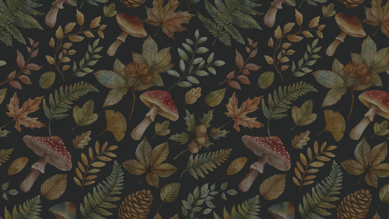 Autumnal leaves, fungi, pinecones form an artistic patterned background